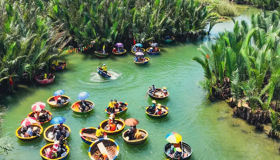Bay Mau Coconut Forest Hoi An: Basket Boat Rides, Prices & Eco-Tours 2026